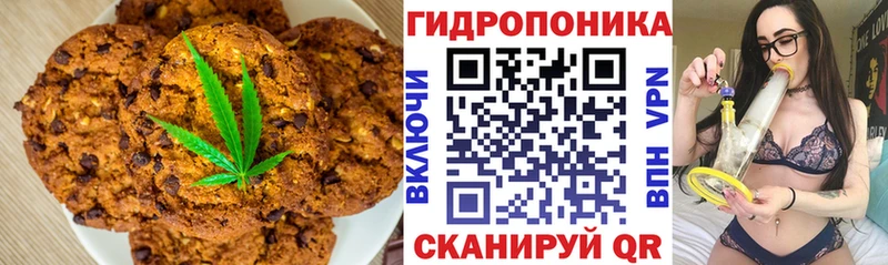 Canna-Cookies конопля как найти закладки omg tor Николаевск-на-Амуре